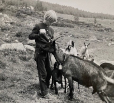 Kari Melby på fjellet i barndommen omgitt av geiter