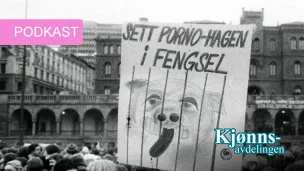 Bildet viser en demonstrasjon der feminister holder en plakat der det står "Sett porno-Hagen i fengsel" og tegning av en gris i bur 
