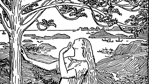 Tegning av en kvinne som ser opp i et tre