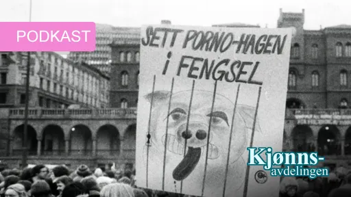 Bildet viser en demonstrasjon der feminister holder en plakat der det står "Sett porno-Hagen i fengsel" og tegning av en gris i bur 