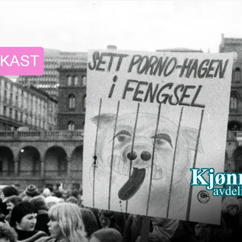 Bildet viser en demonstrasjon der feminister holder en plakat der det står "Sett porno-Hagen i fengsel" og tegning av en gris i bur 