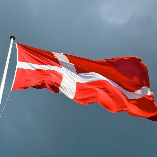 Det danske flagget