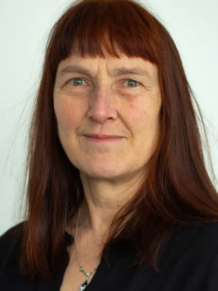 Margunn Bjørnholt, professor og voldsforsker