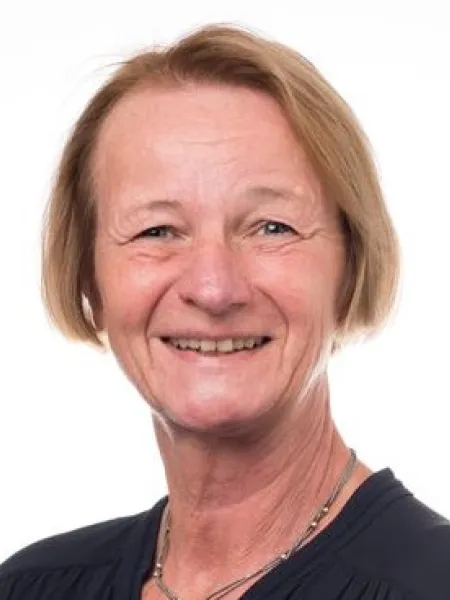 Mari Kristin Sisjord, professor emeritus ved NIH